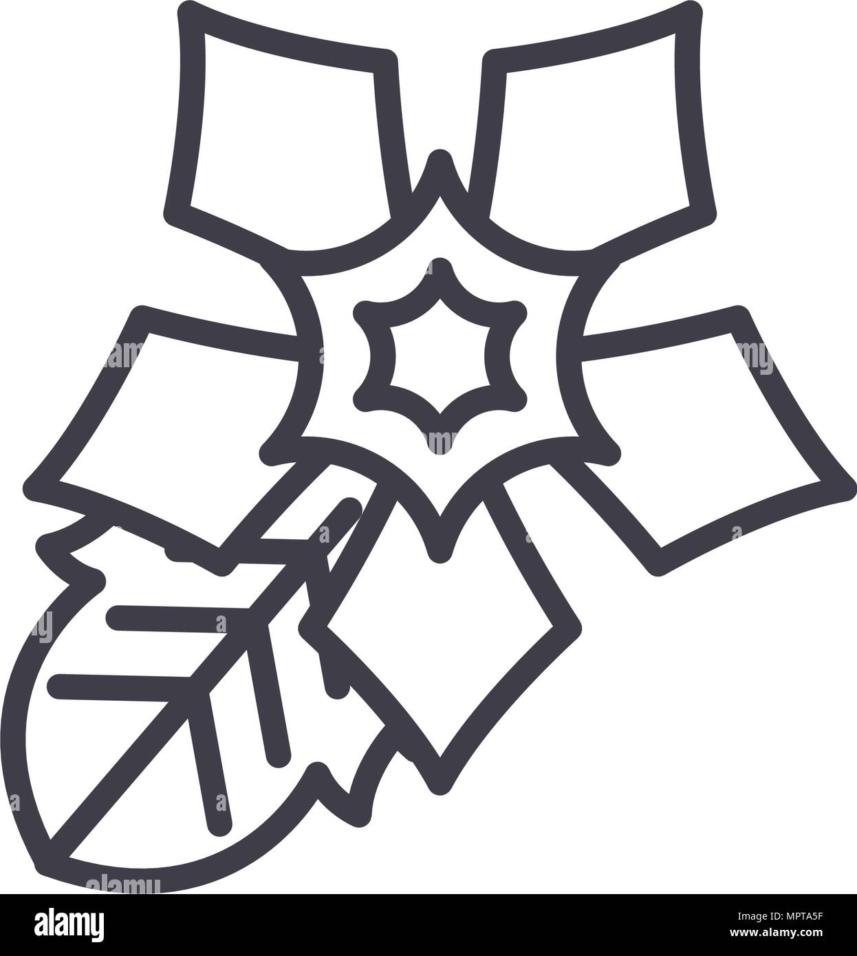 Weihnachtsstern Blume Symbol Leitung Konzept