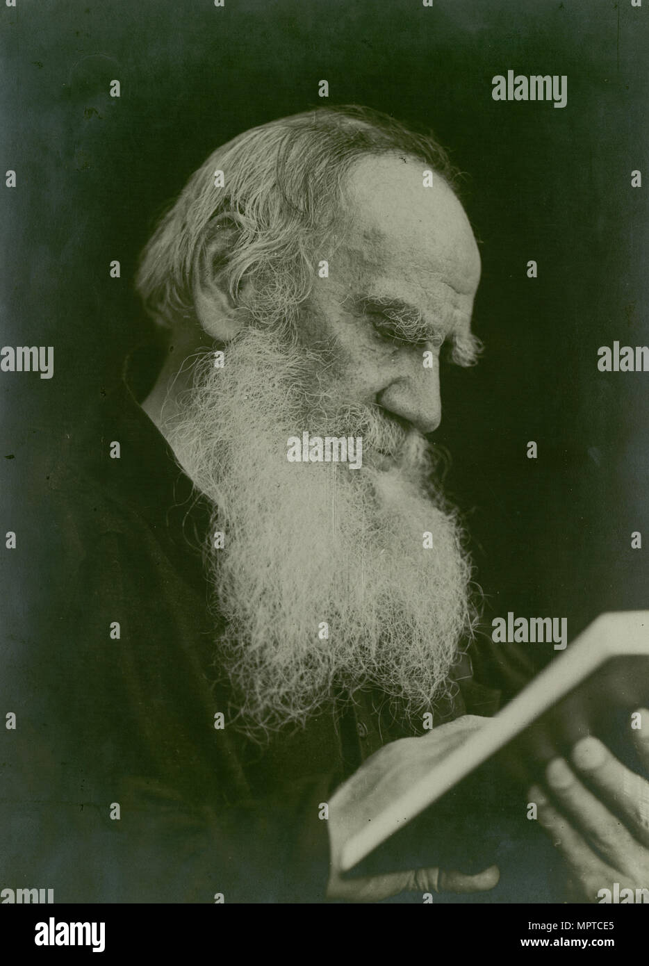 Graf lew nikolajewitsch tolstoi 1828 1910 Fotos und Bildmaterial in