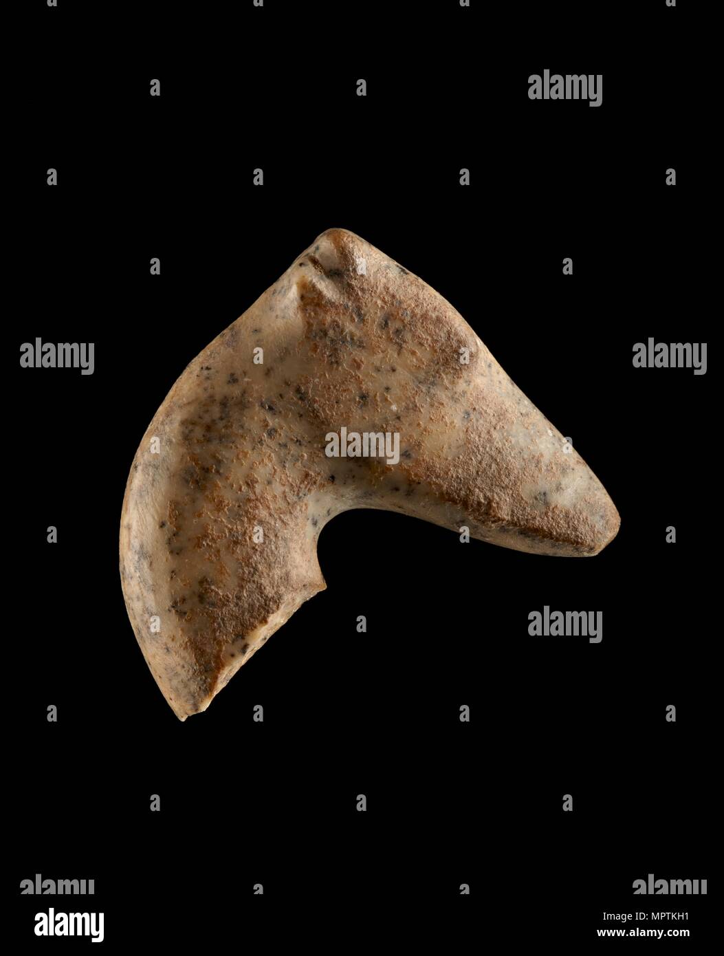 Stein figurine Fragment; Leiter der Gazelle, 6000-5500 BC. Artist: Unbekannt. Stockfoto