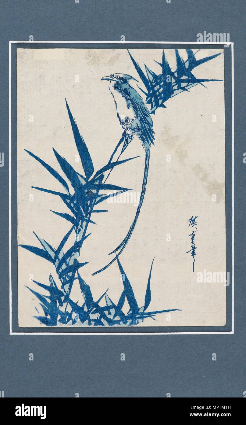 Ukiyo-e Drucken - Vogel auf einem Zweig in Blau, c 1820-1858. Künstler: Ando Hiroshige. Stockfoto