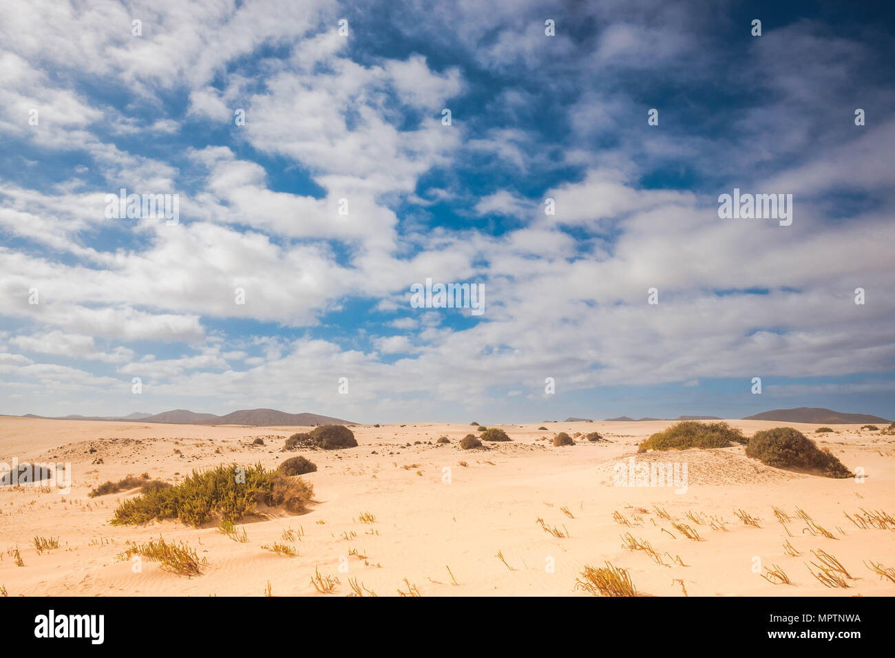 Wüstenhaft Ort für Klimawandel mit Bergen im Hintergrund. gelbe und blaue Farben, niemand hier. Dünen von Corralejo Fuerteventura Stockfoto