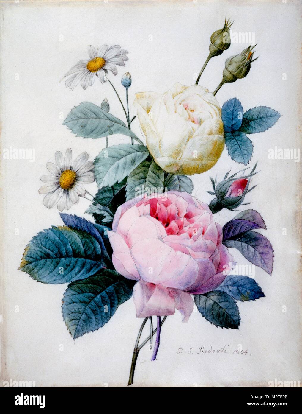 Blumenstrauß aus Rosen geschmückt mit Gänseblümchen, 1834. Stockfoto