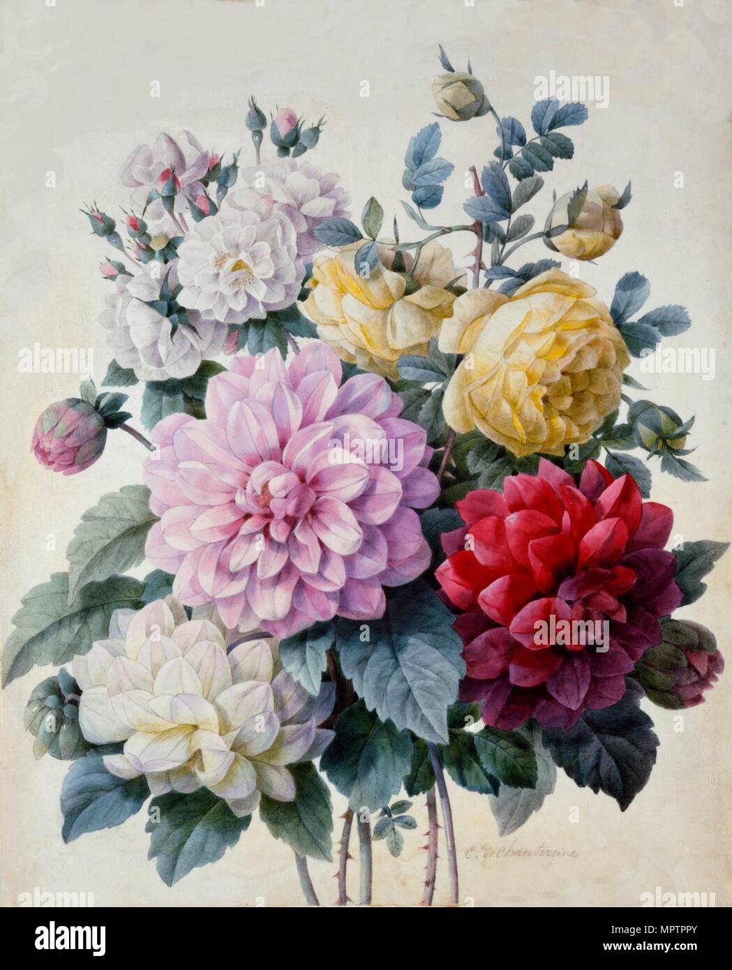 Blumenstrauß, Dahlien und Rosen, c 1830-1840. Stockfoto