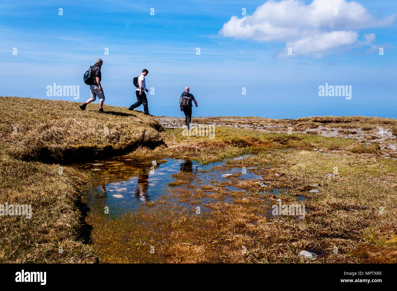 Wanderer auf Sliabh Liag, Slieve League oder Slieve Liag, ein Berg auf der atlantischen Küste der Grafschaft Donegal, Irland. Stockfoto