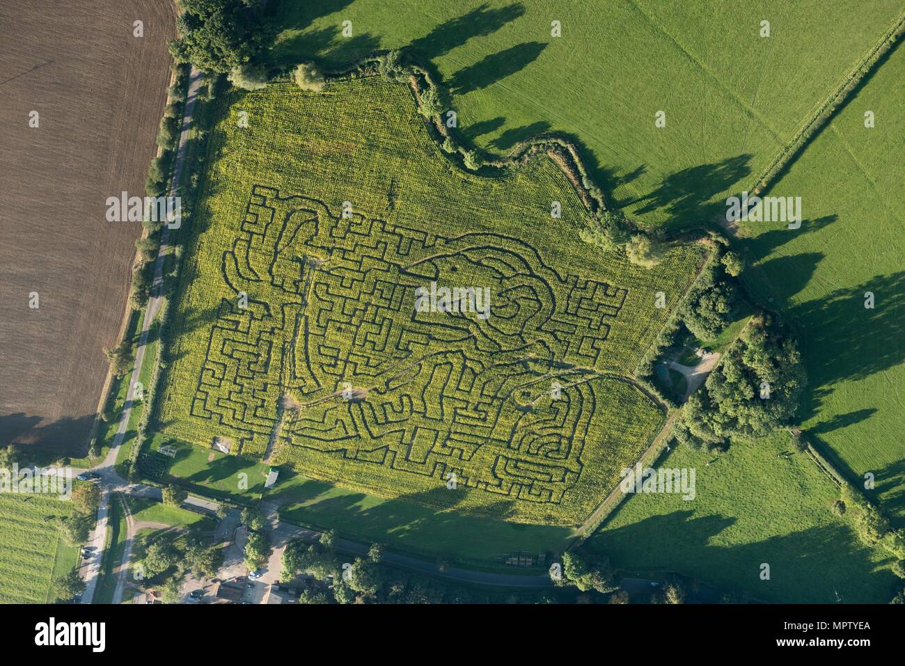 Wistow Mais Labyrinth, Leicestershire, 2016. Artist: Damian Grady. Stockfoto