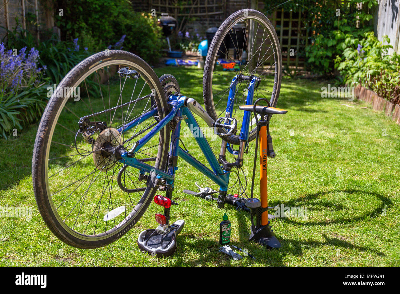 Fahrrad Wartung und Reparatur zu Hause auf dem hinteren Garten (Hinterhof) Rasen Stockfoto