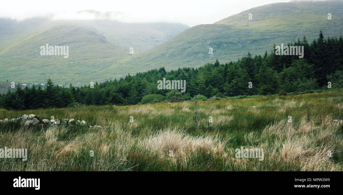 Einen malerischen Blick auf den Kerry Mountains und der Umgebung in der Grafschaft Kerry - Vintage Effekt. Landschaft entlang des Ring of Kerry - retro Foto. Irland. W Stockfoto
