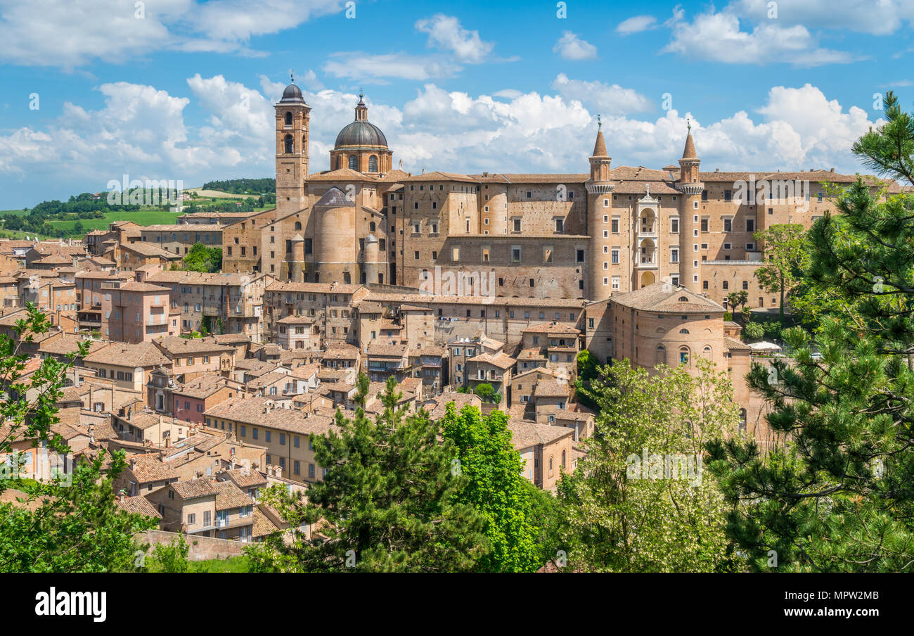 Urbino, Stadt und Weltkulturerbe in der Region Marken in Italien. Stockfoto