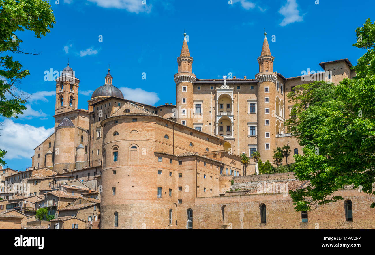 Urbino, Stadt und Weltkulturerbe in der Region Marken in Italien. Stockfoto