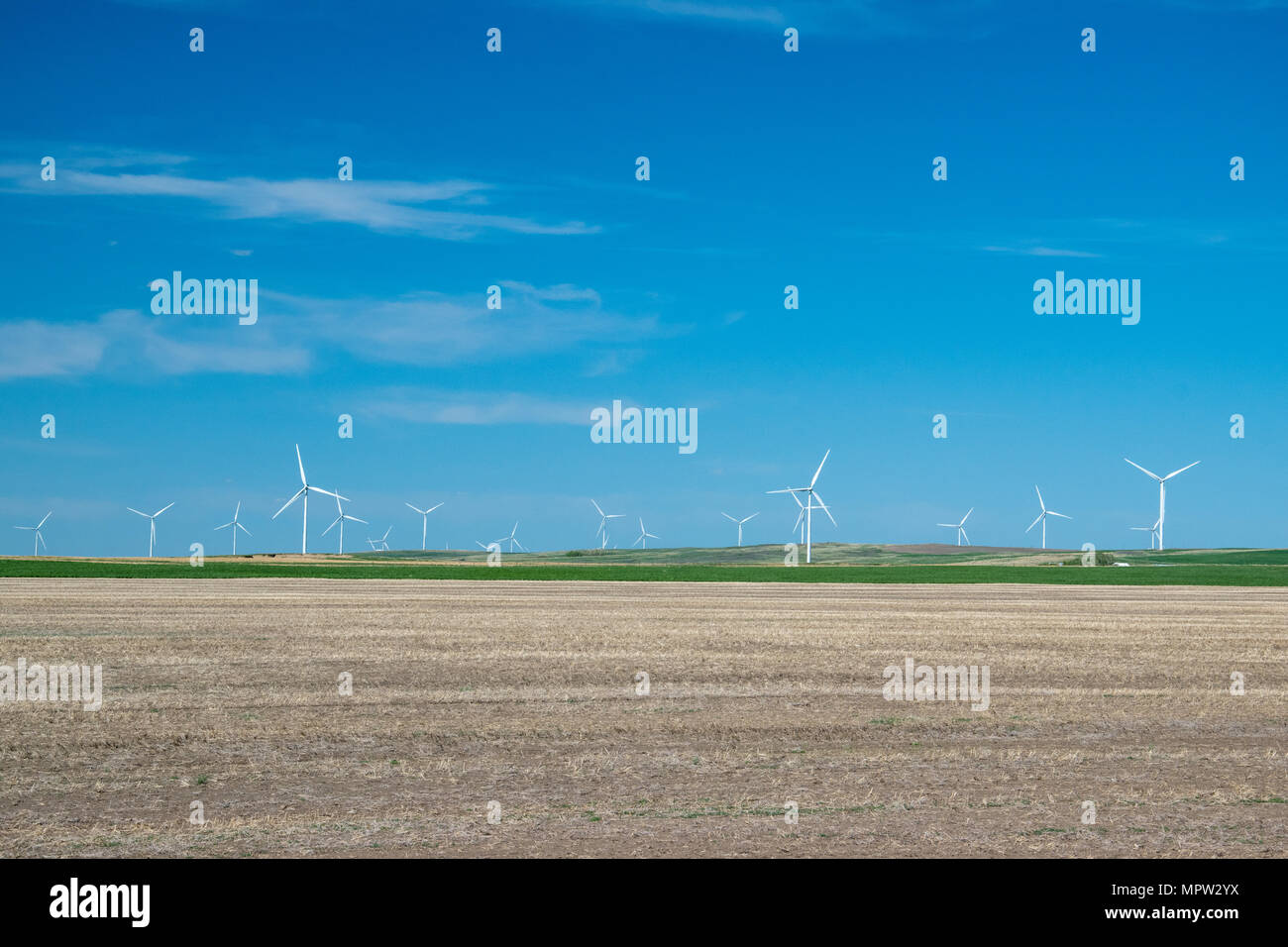 Windenergieanlagen in einem Feld, Blackspring Ridge Wind Projekt von EDF EN Canada Inc. und Enbridge Inc. in South Eastern Alberta besteht aus 166 Vestas V100-1. Stockfoto