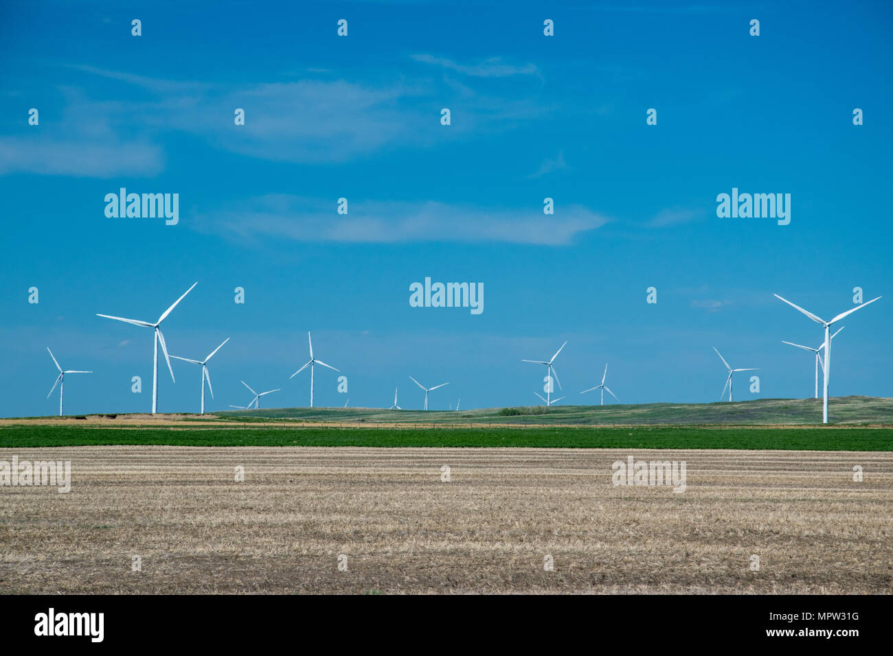 Windenergieanlagen in einem Feld, Blackspring Ridge Wind Projekt von EDF EN Canada Inc. und Enbridge Inc. in South Eastern Alberta besteht aus 166 Vestas V100-1. Stockfoto