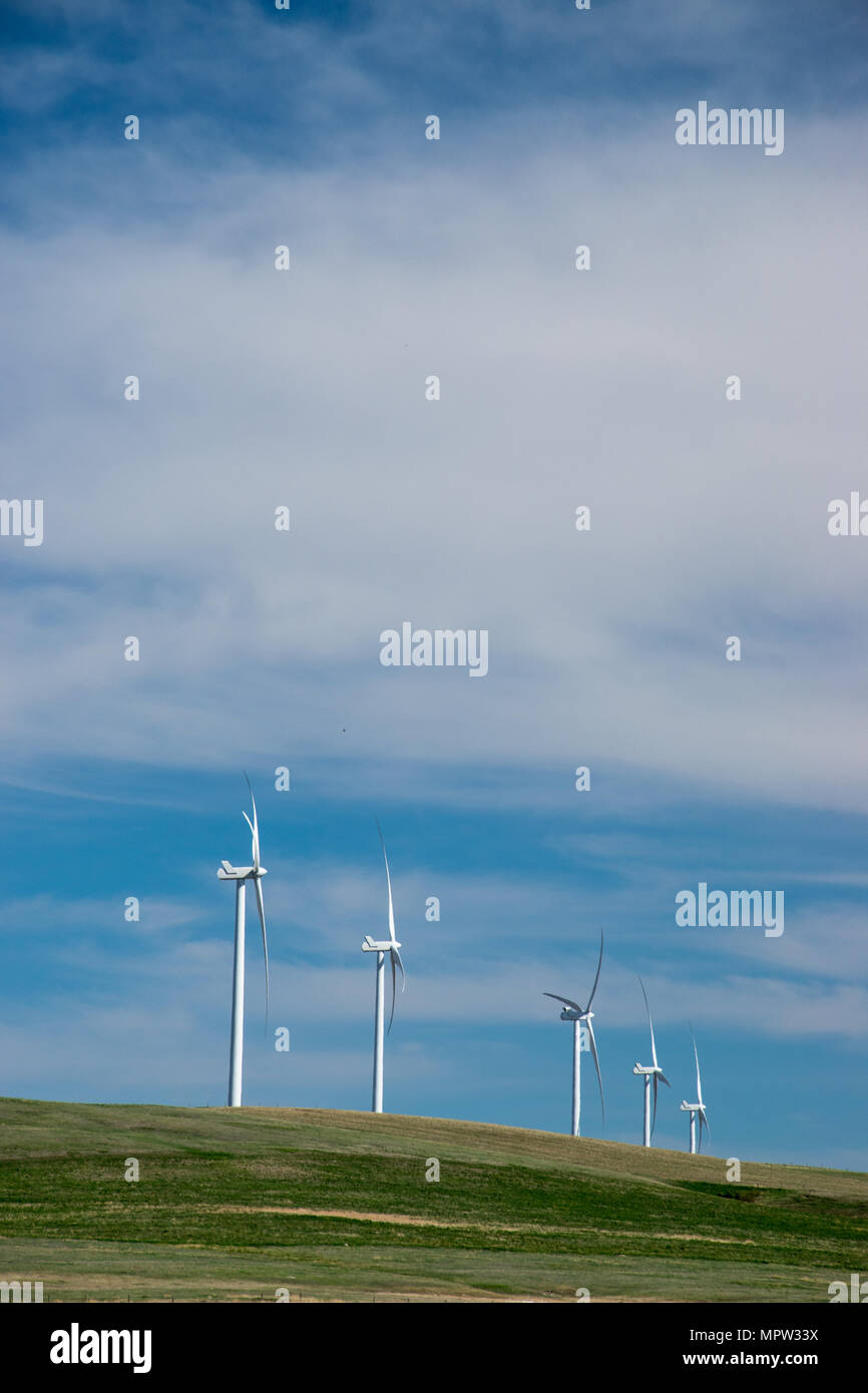 Windenergieanlagen auf einem Bergrücken, Blackspring Ridge Wind Projekt von EDF EN Canada Inc. und Enbridge Inc. in South Eastern Alberta besteht aus 166 Vestas V100-1.8 Stockfoto