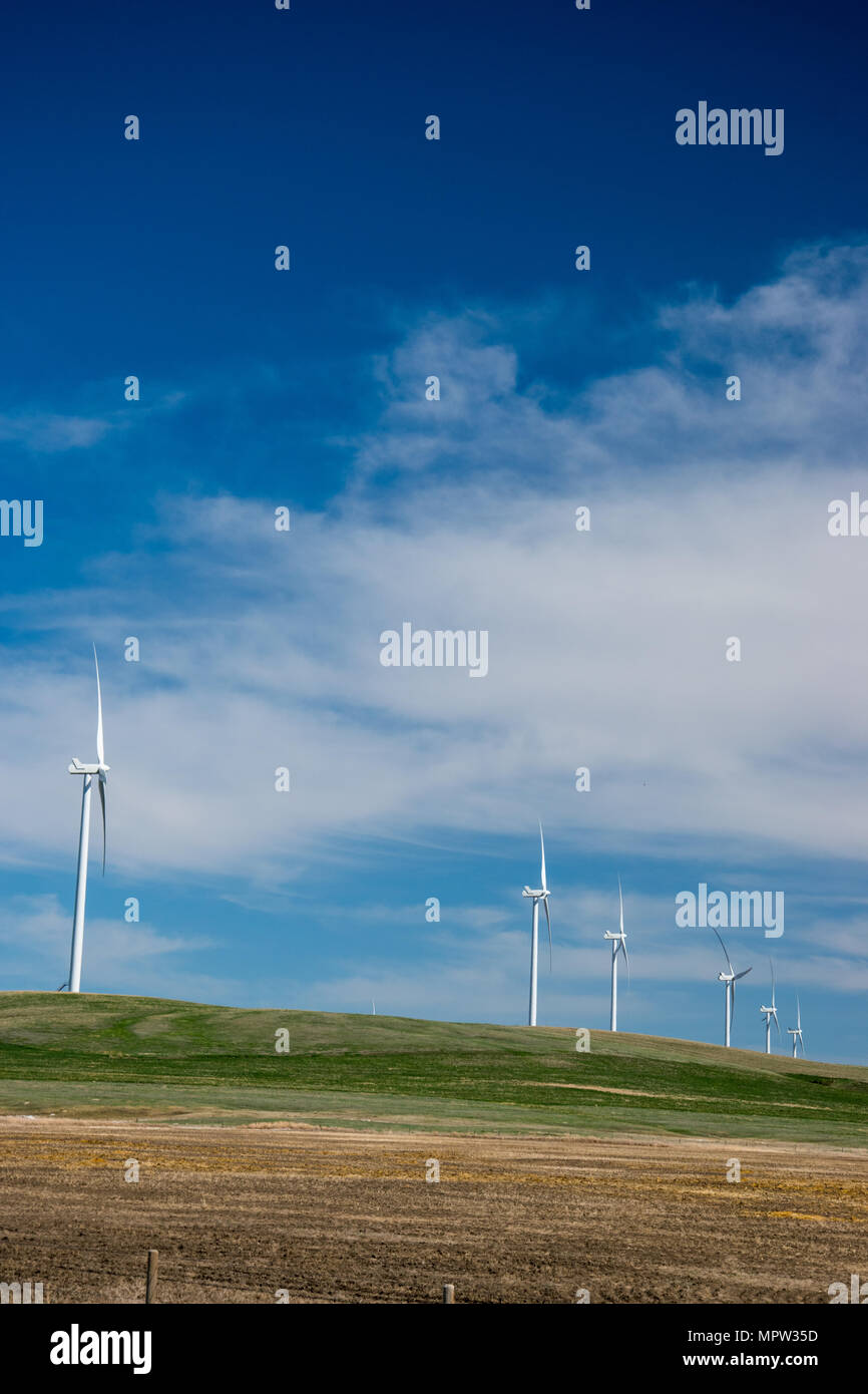 Windenergieanlagen auf einem Bergrücken, Blackspring Ridge Wind Projekt von EDF EN Canada Inc. und Enbridge Inc. in South Eastern Alberta besteht aus 166 Vestas V100-1.8 Stockfoto