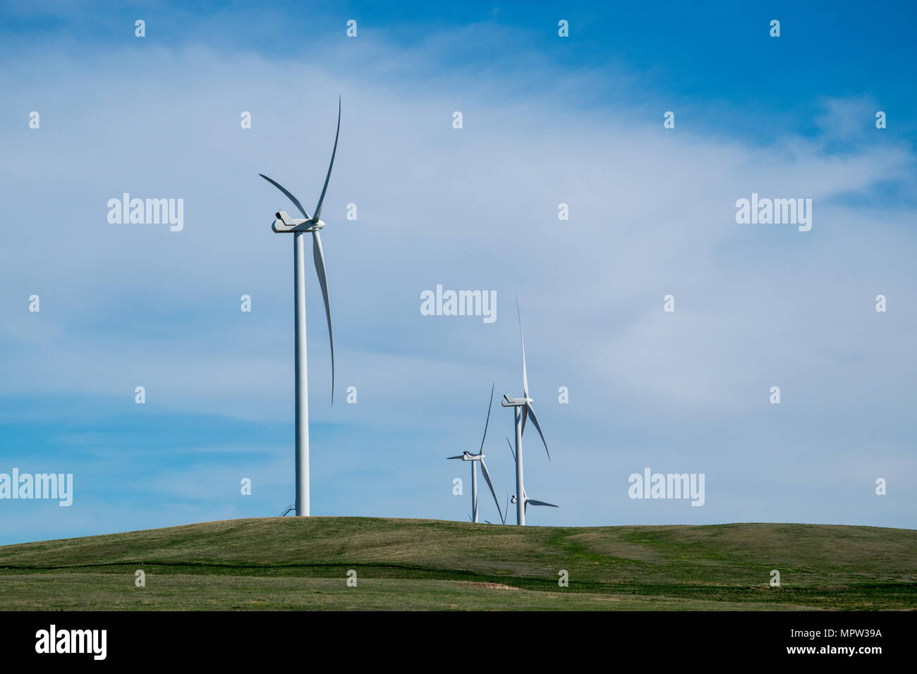 Windenergieanlagen auf einem Bergrücken, Blackspring Ridge Wind Projekt von EDF EN Canada Inc. und Enbridge Inc. in South Eastern Alberta besteht aus 166 Vestas V100-1.8 Stockfoto
