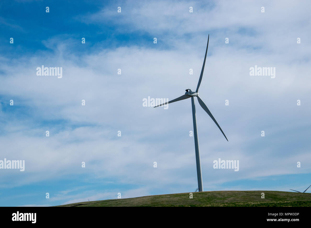 Single Wind Turbine, Teil des Blackspring Ridge Windprojekts von EDF EN Canada Inc. Und Enbridge Inc. Im Südosten Albertas, das aus 166 V besteht Stockfoto