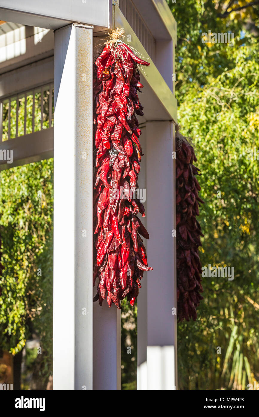 Chili peppers in Santa Fe, NM USA hängend getrocknet Stockfoto