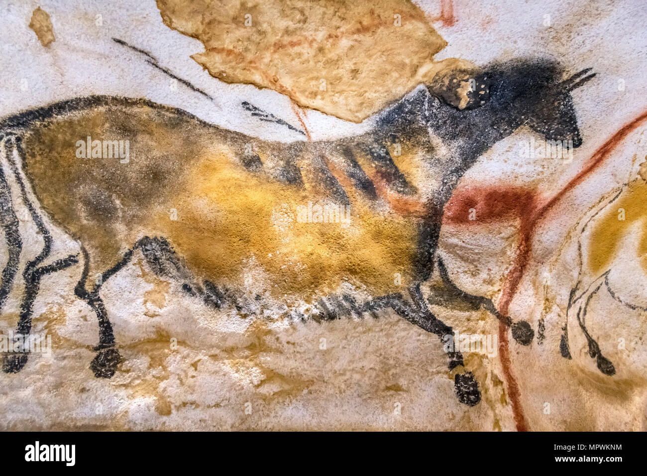 Höhlenmalerei eines Pferdes aus den axialen Galerie, Internationales Zentrum für Kunst und Höhle (IV), Montignac Lascaux, Dordogne, Frankreich. Höhlenmalereien. Stockfoto