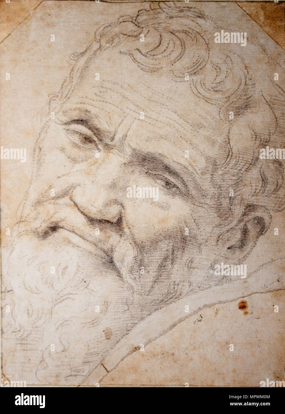 Portrait von Michelangelo Buonarroti (1475-1564), C. 1550. Stockfoto
