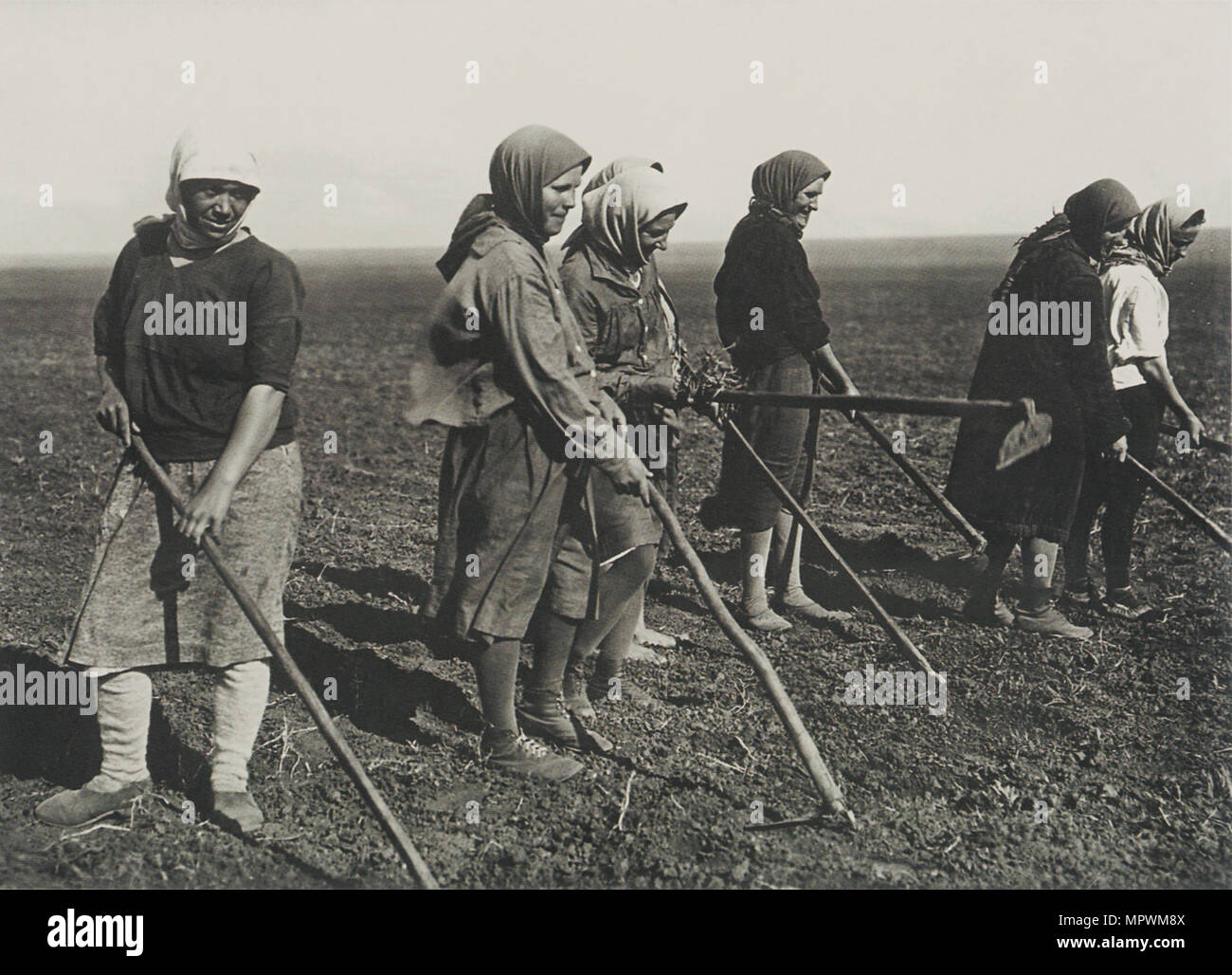 Kolkhos Frauen auf dem Feld, Anfang der 1930er Jahre. Stockfoto