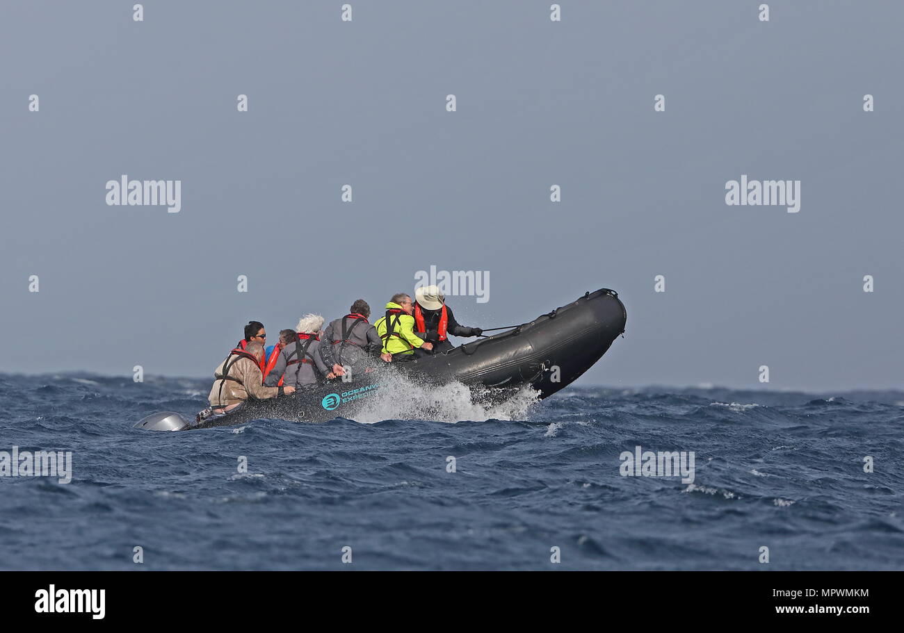 Zodiac Boot auf offener See Kap Verde, Atlantik kann Stockfoto