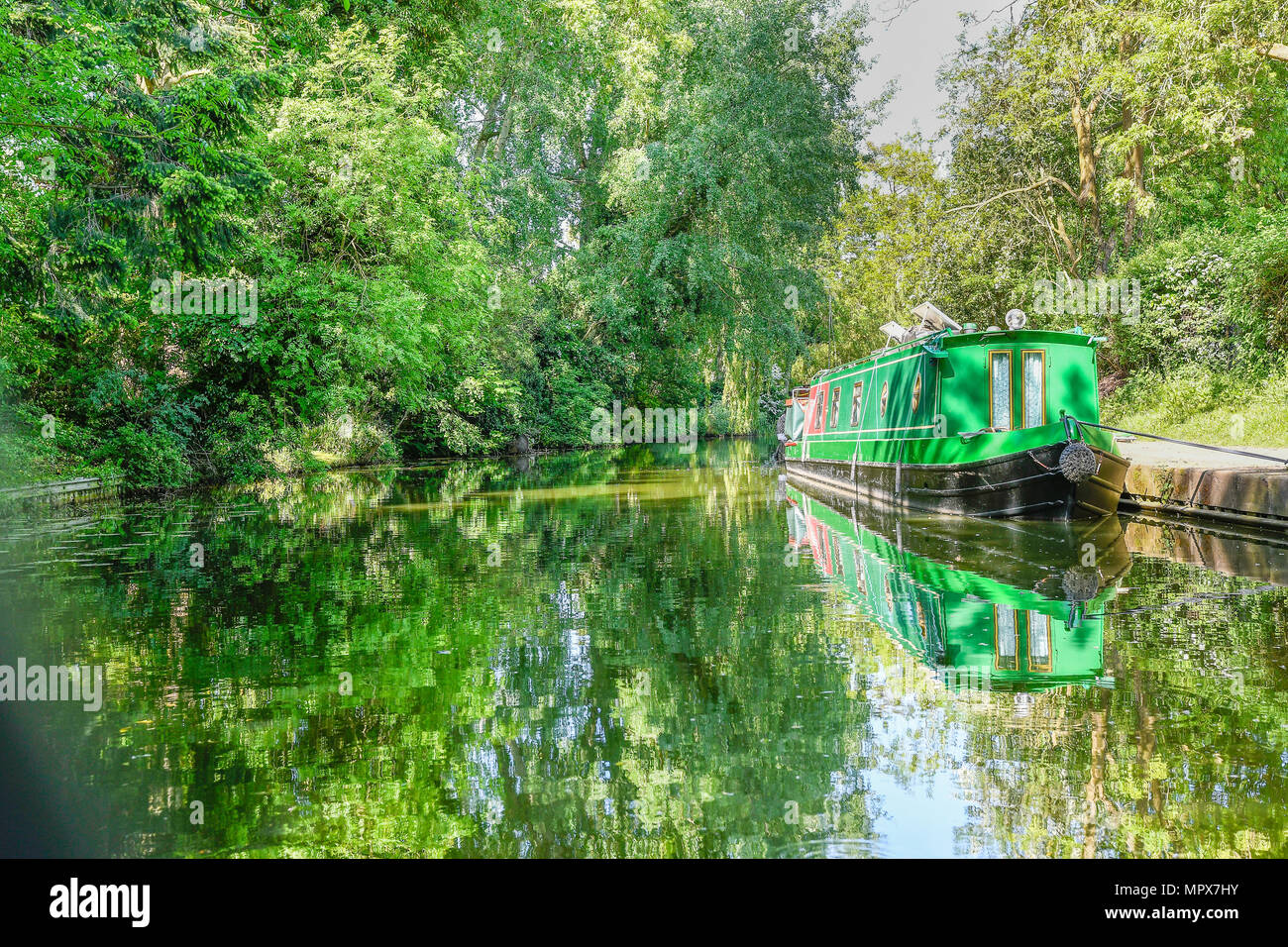 15-04 günstig zu dem Leinpfad an einem sonnigen Frühlingstag am Market Harborough Arm des Grand Union Canal, England. Stockfoto