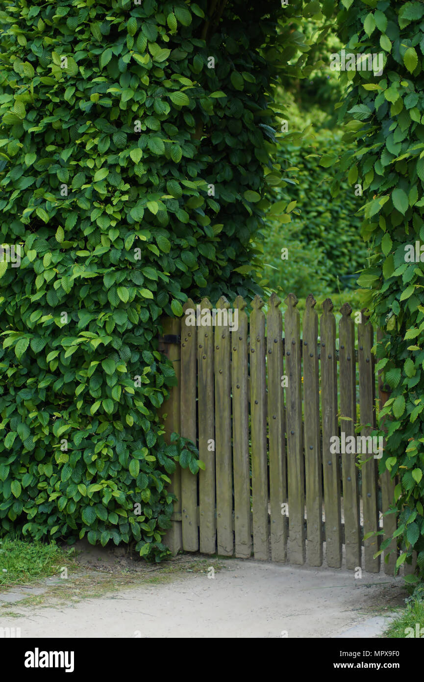 Botanischer Garten Munster Stockfoto Bild 186204340 Alamy