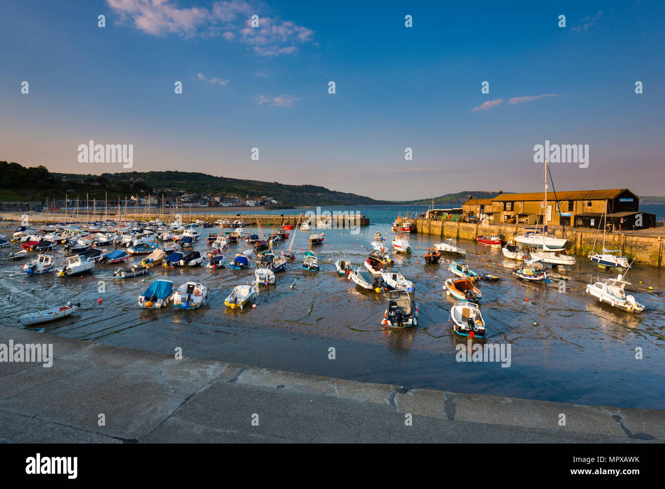 Am späten Abend Sonnenschein und blauer Himmel im Cobb Hafen in Lyme Regis auf der Jurassic Coast von Dorset am 23. Mai 2018. Foto: Graham Jagd-/ Stockfoto