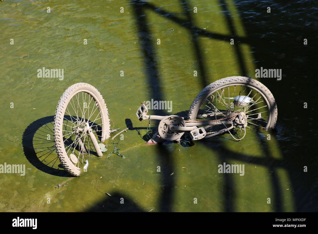 Alte verworfen Fahrrad halb liegend im Schlamm an der Seite des Flusses Lune unter der Millennium Bridge in Lancaster abgedeckt. Stockfoto