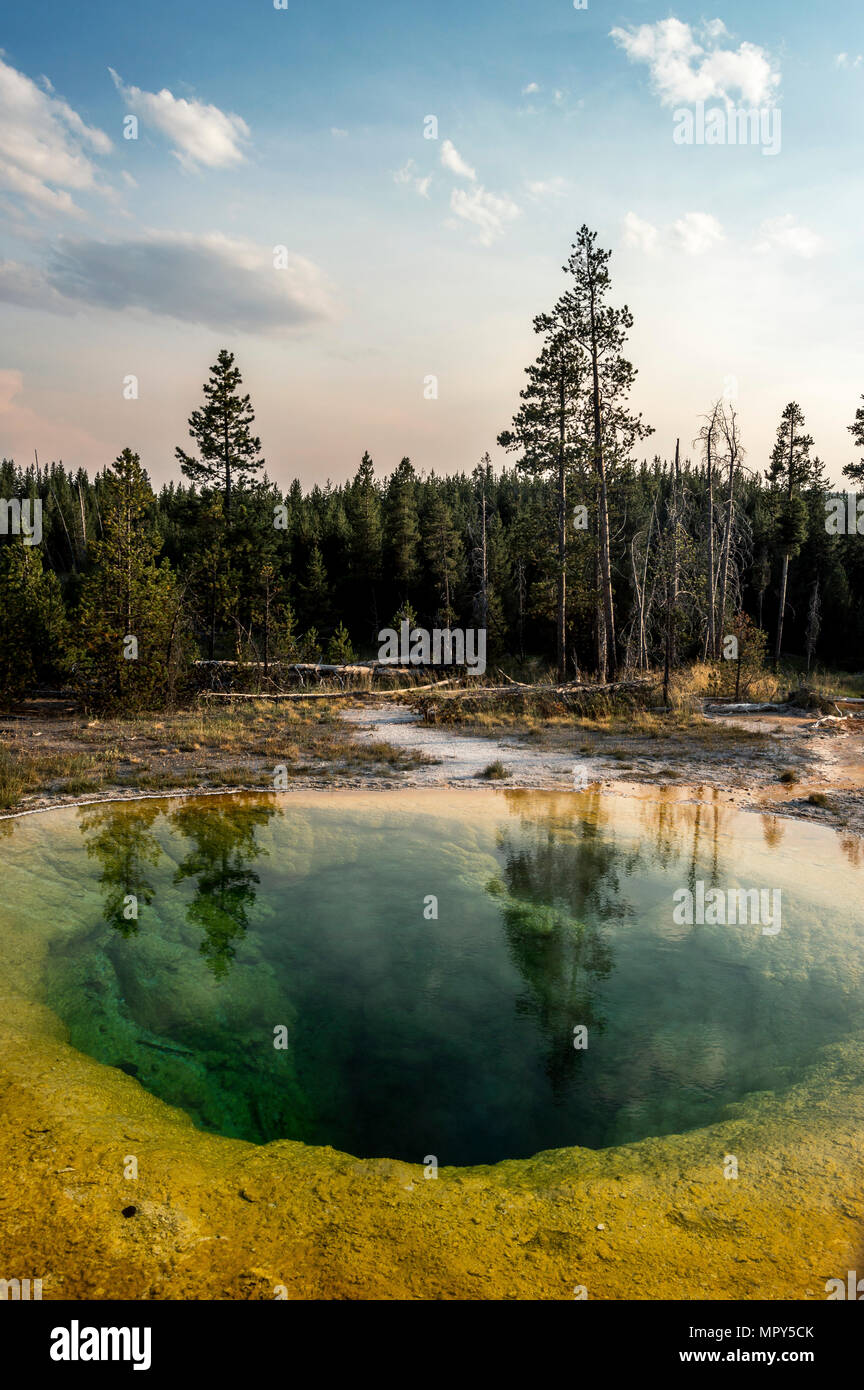 Malerischer Blick auf heiße Quelle von Bäumen gegen den Himmel in der Yellowstone Nationalpark bei Sonnenuntergang Stockfoto