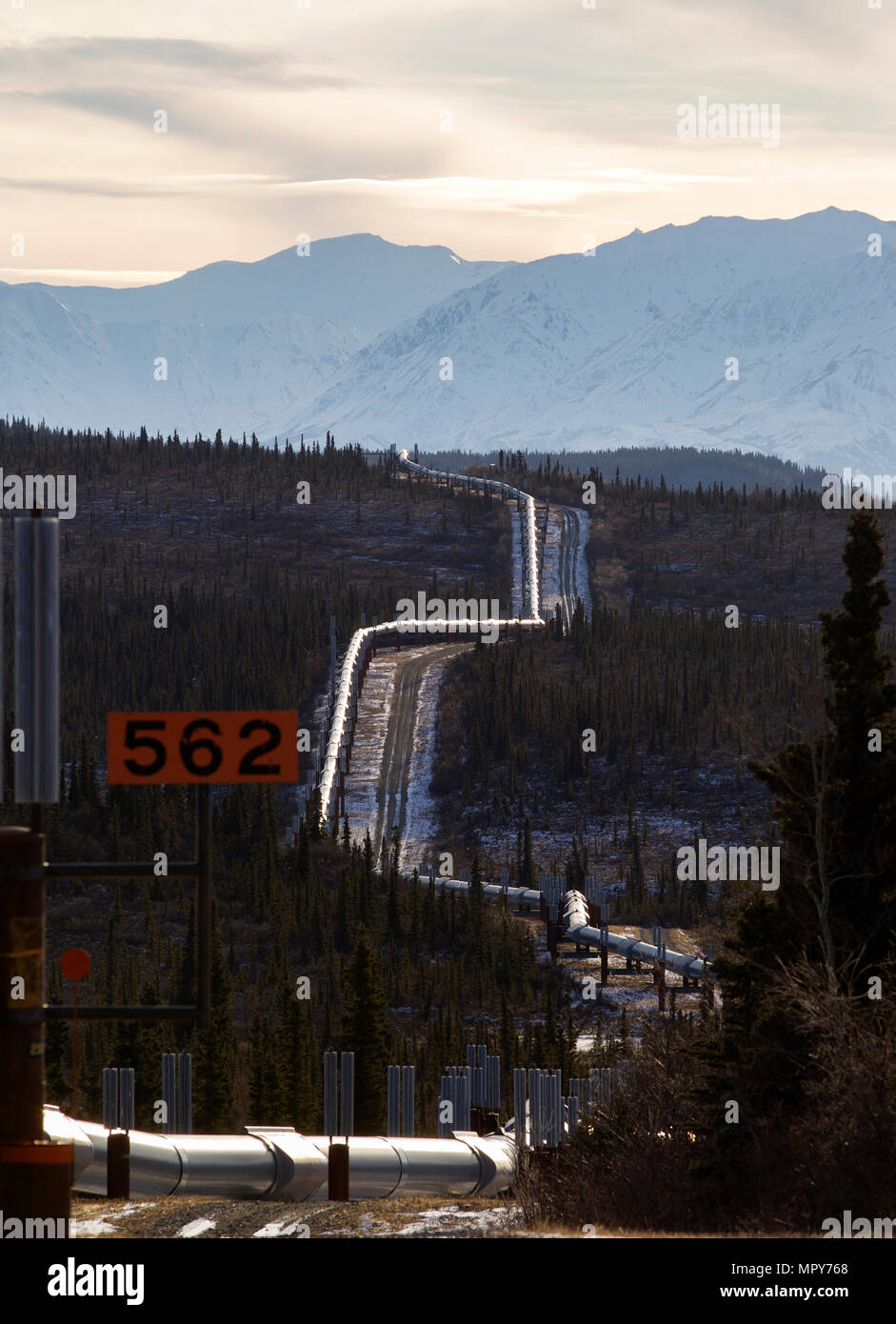 Trans-Alaskan Pipeline mitten im Wald gegen Berge im Winter Stockfoto