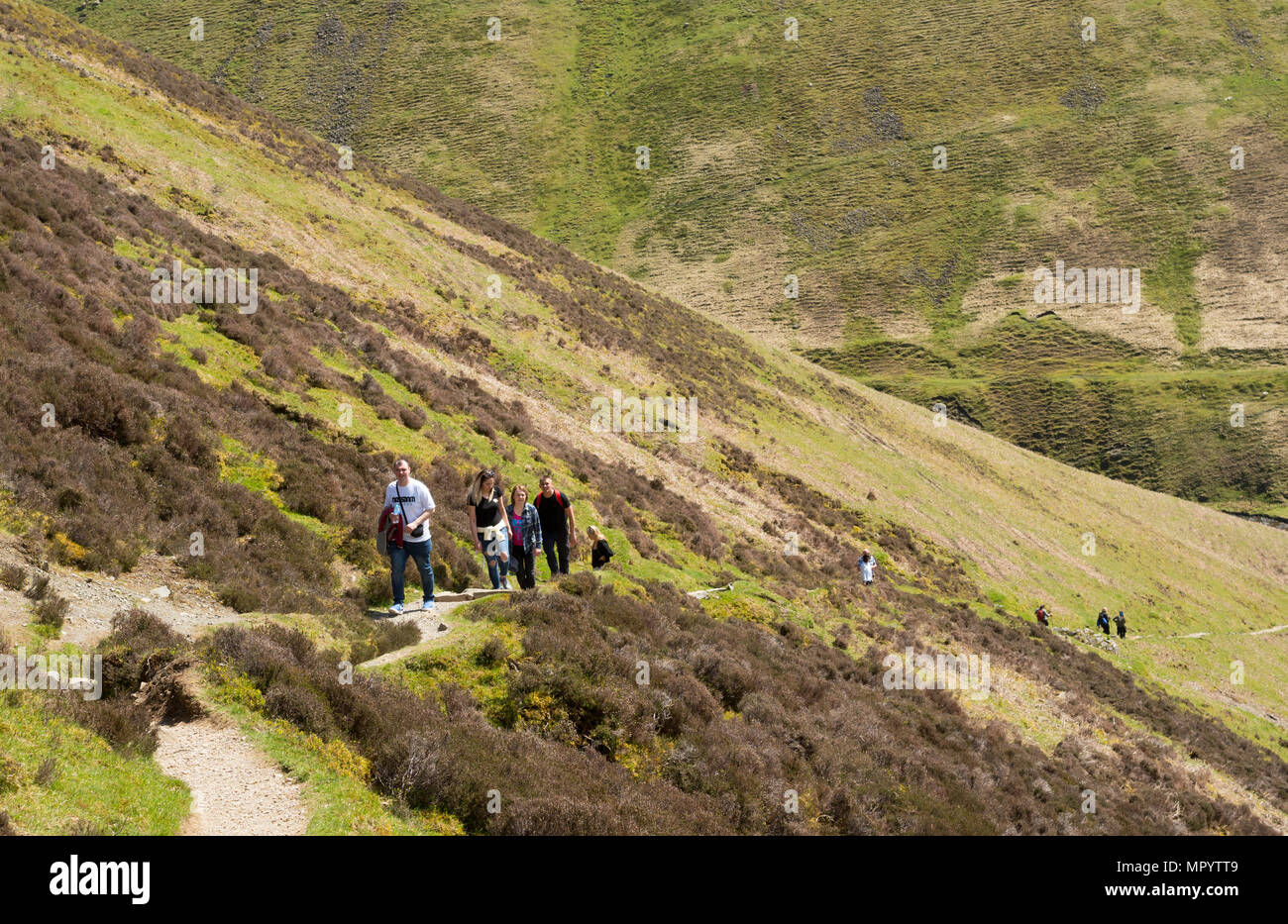 Eine Gruppe von Wanderern erklimmen Sie den Weg neben der Grey Mare Schwanz Wasserfall, in der Nähe von Moffat, Dumfries and Galloway, Schottland, Großbritannien Stockfoto