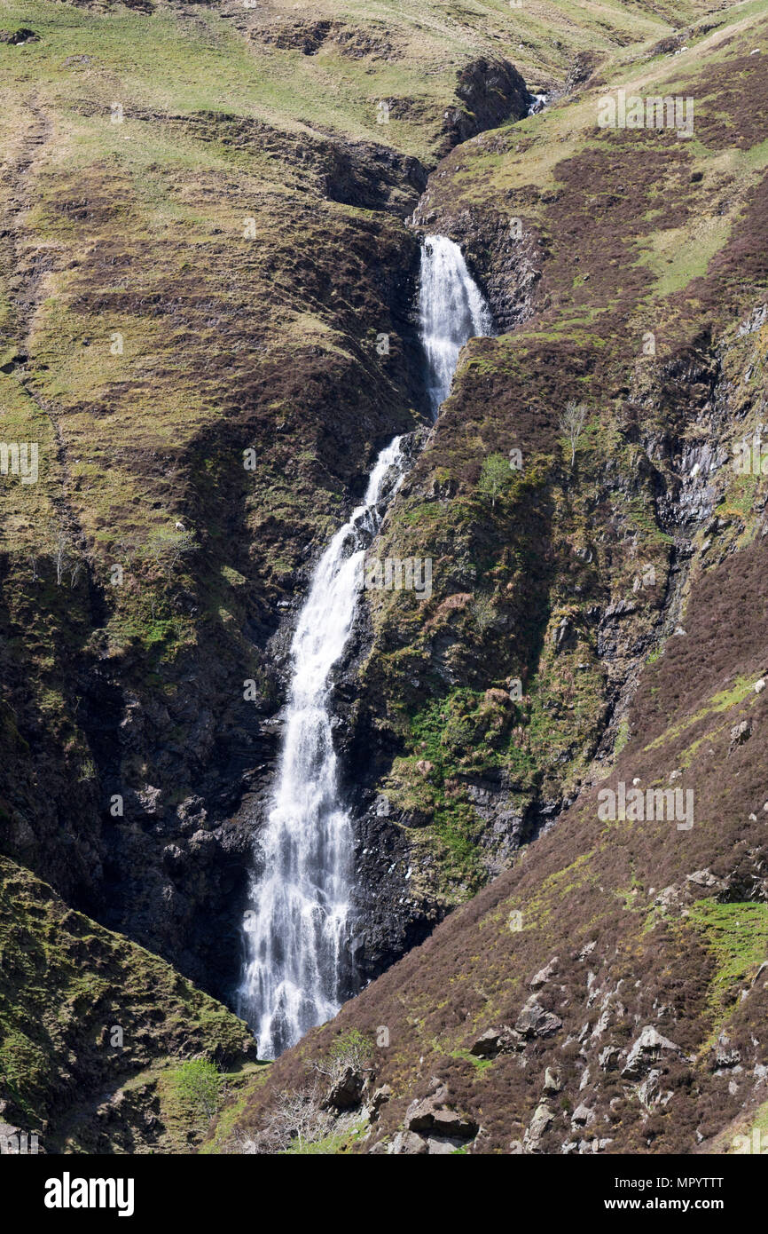 Die Grey Mare Schwanz oder Brüllen Linn Wasserfall, in der Nähe von Moffat, Dumfries and Galloway, Schottland, Großbritannien Stockfoto