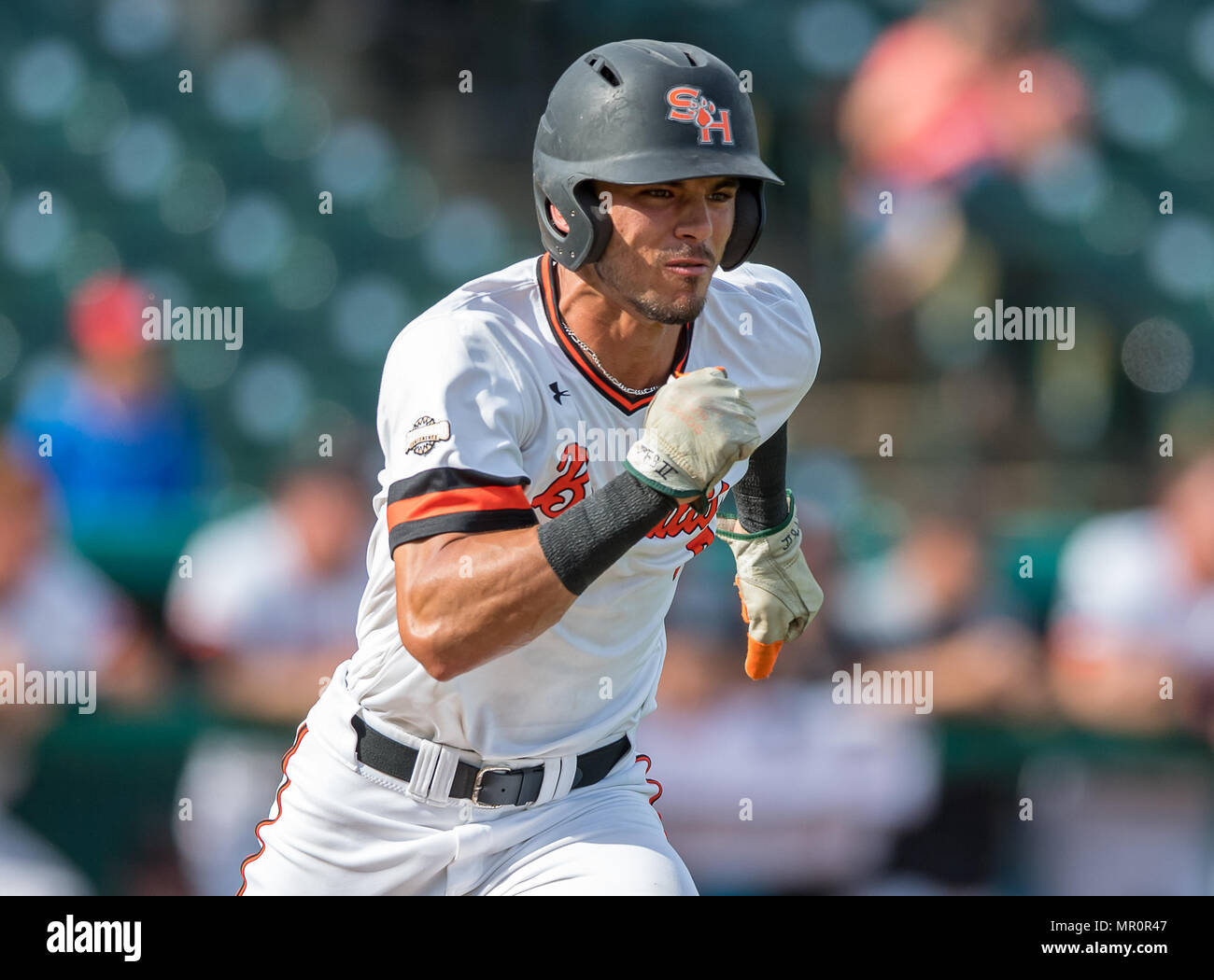 23. Mai 2018: Sam Houston St. infielder Andrew Fregia (7) Während der Süden Konferenz Meisterschaften 2018. Spiel 3 New Orleans vs Sam Houston im Sternbild Feld Sugar Land, Texas. Nr. 8 New Orleans Privateers verordnungdrogeverkäufen die Nr. 1 Sam Houston Zustand 4-3 in 10 Innings, etwas, das nicht seit 2015 geschehen ist, Stockfoto