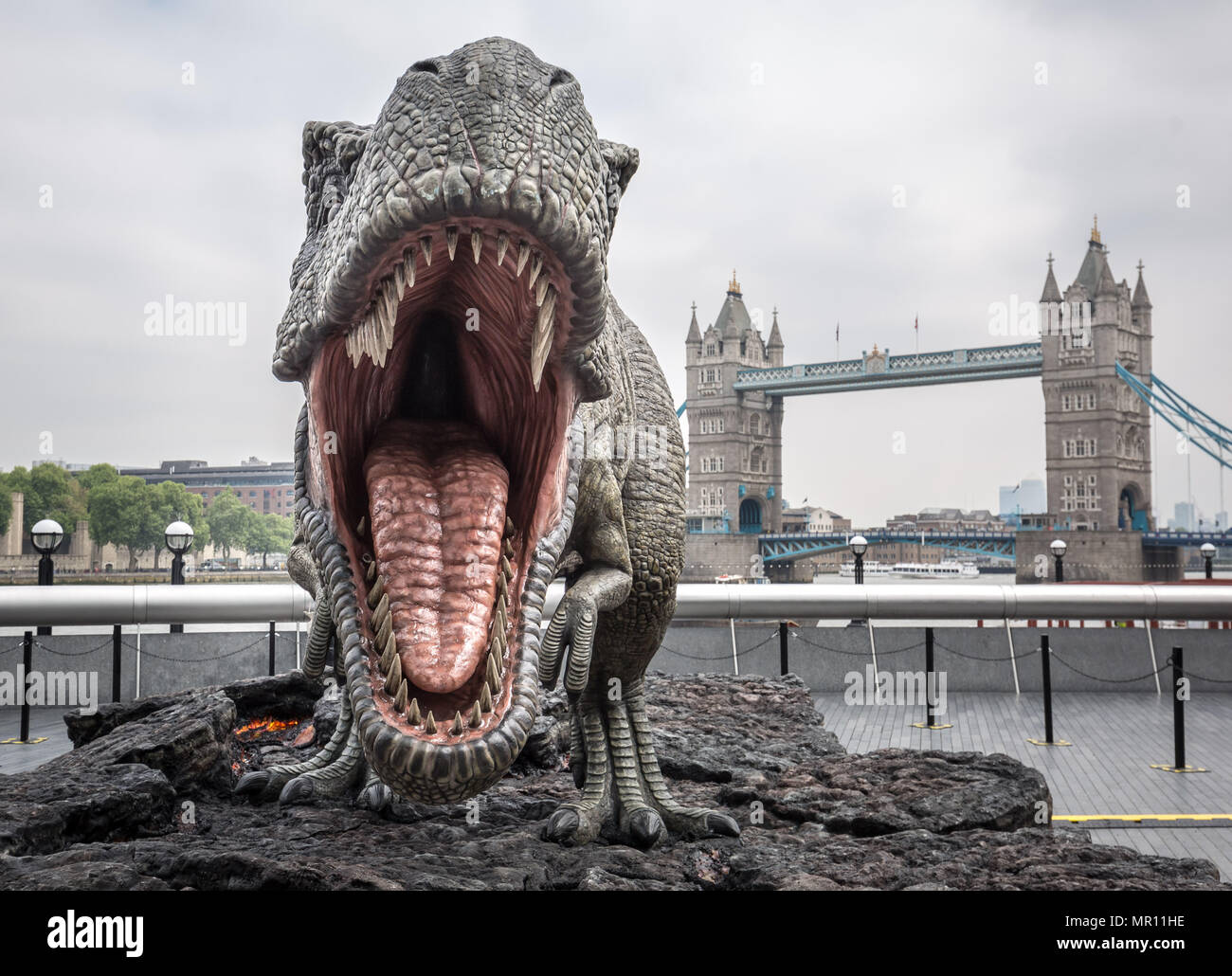 London, Großbritannien. 25. Mai 2018. Ein Modell der Tyrannosaurus Rex im London Bridge fördert 'Jurassic Welt: Gefallene Königreich" Film öffnen. Credit: Guy Corbishley/Alamy leben Nachrichten Stockfoto