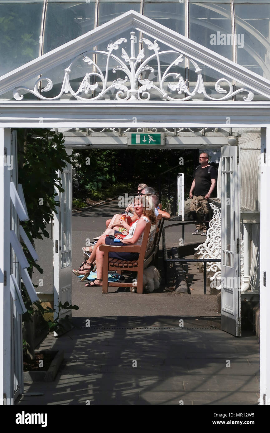 Glasgow, 25. Mai 2018. Scorching Feiertag Freitag in Glasgow Botanic Gardens. Kredit Alan Oliver/Alamy leben Nachrichten Stockfoto