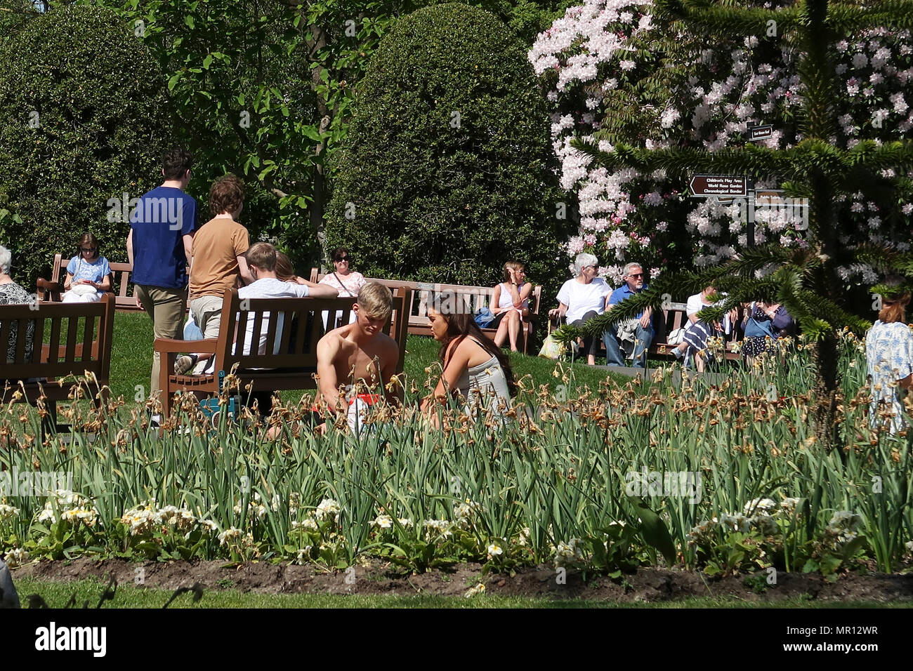 Glasgow, 25. Mai 2018. Scorching Feiertag Freitag in Glasgow Botanic Gardens. Kredit Alan Oliver/Alamy leben Nachrichten Stockfoto