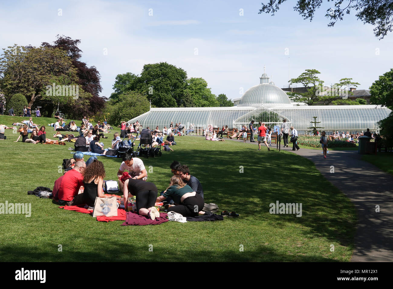 Glasgow, 25. Mai 2018. Scorching Feiertag Freitag in Glasgow Botanic Gardens. Kredit Alan Oliver/Alamy leben Nachrichten Stockfoto