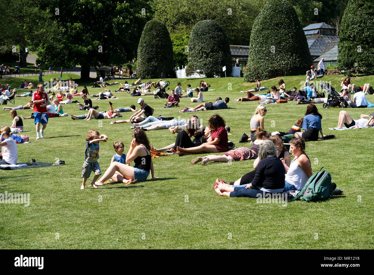 Glasgow, 25. Mai 2018. Scorching Feiertag Freitag in Glasgow Botanic Gardens. Kredit Alan Oliver/Alamy leben Nachrichten Stockfoto