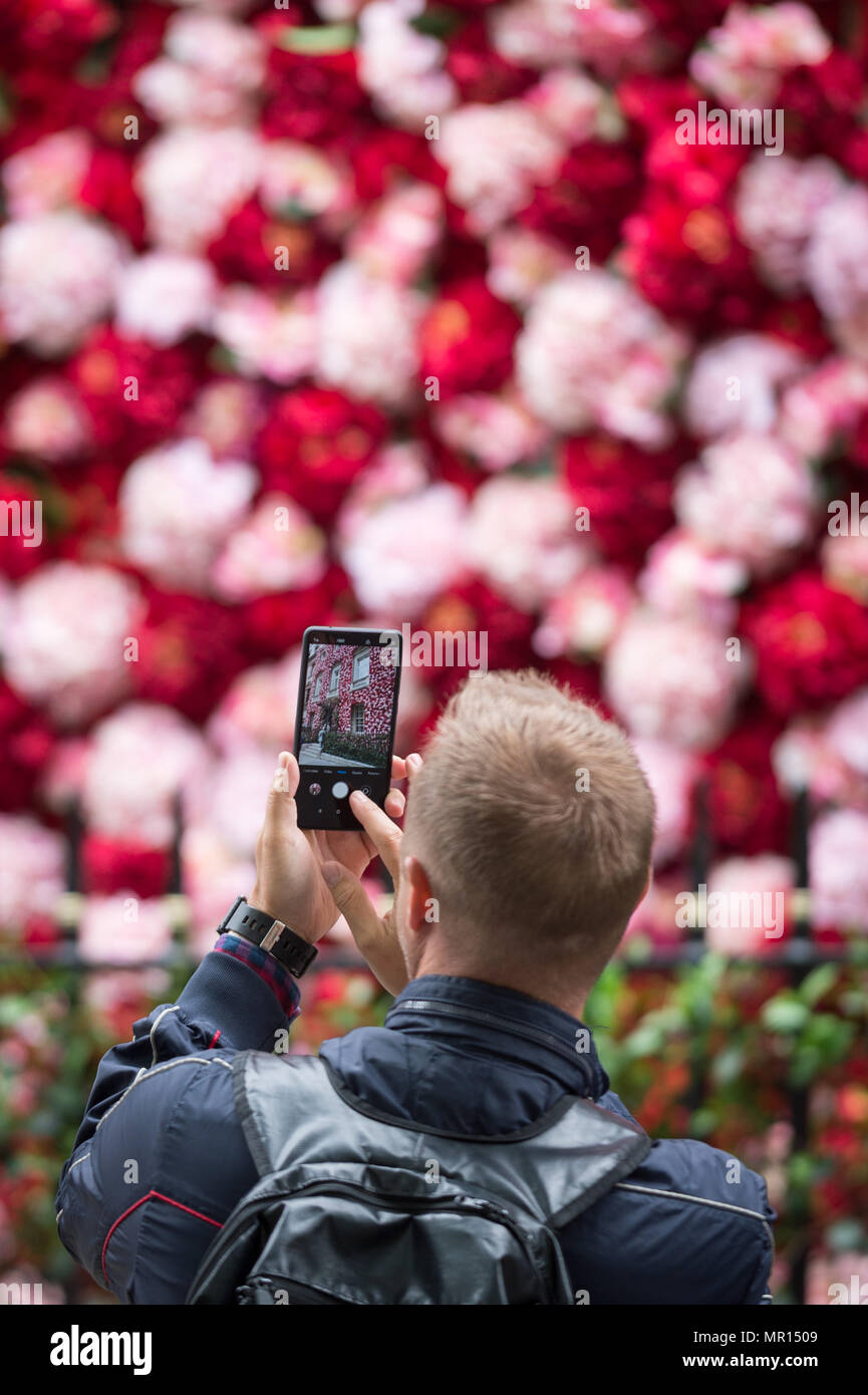 London, Großbritannien. 25. Mai 2018. Annabel private Mitglieder Club in Mayfair, derzeit mit Tausenden von Blumen zeitlich mit der RHS Chelsea Flower Show zu Decken geschmückt. Credit: Guy Corbishley/Alamy leben Nachrichten Stockfoto