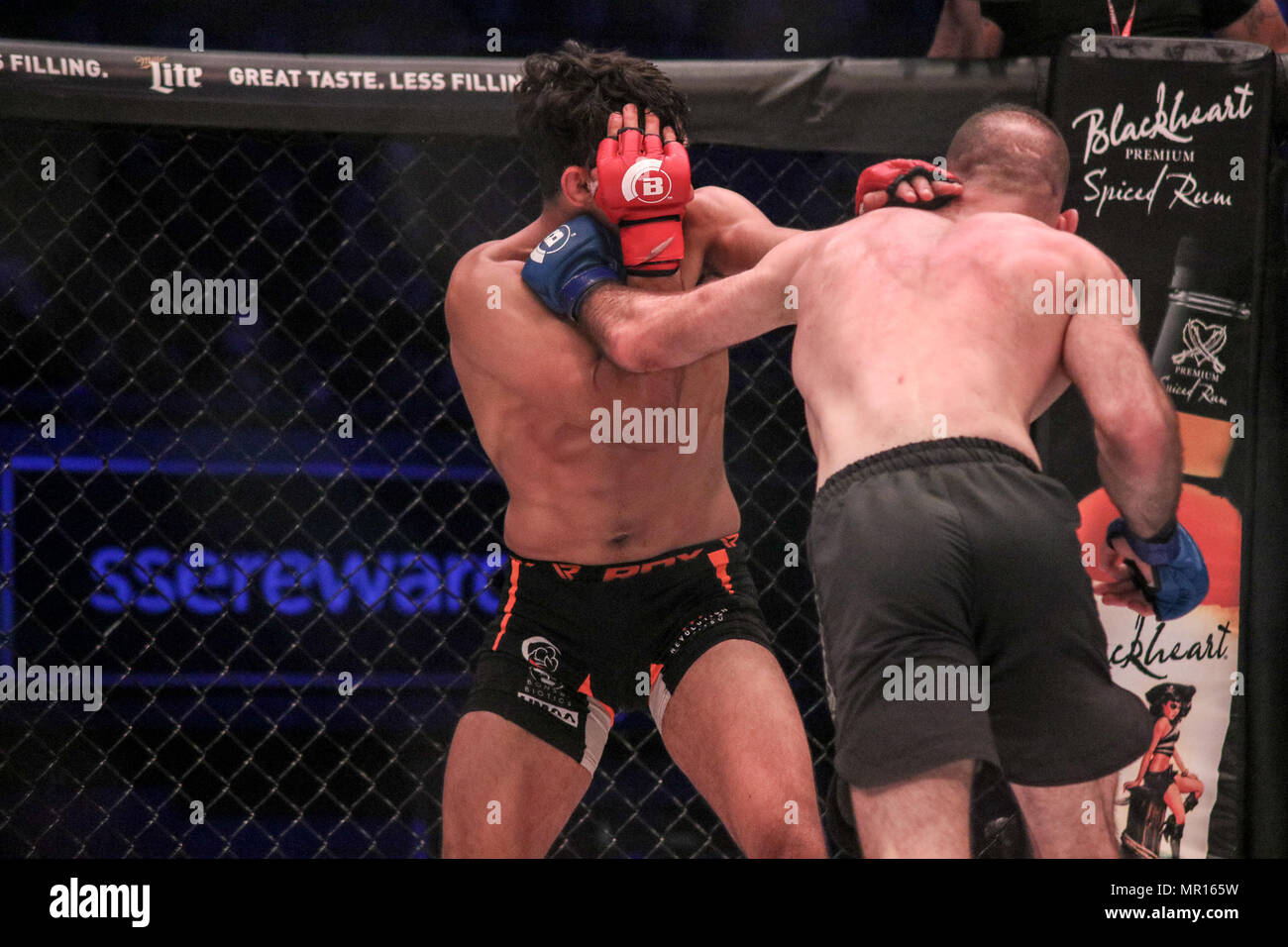 London, Großbritannien. 25. Mai 2018. Pedro Carvalhoi Niederlagen Daniel Crawford Credit: Dan Cooke Credit: Dan Cooke/Alamy leben Nachrichten Stockfoto