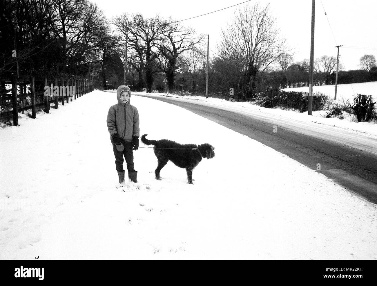 Neun Jahre alten Jungen gehen ein Labradoodle Hund im Schnee, Medstead, Hampshire, England, Vereinigtes Königreich. Stockfoto