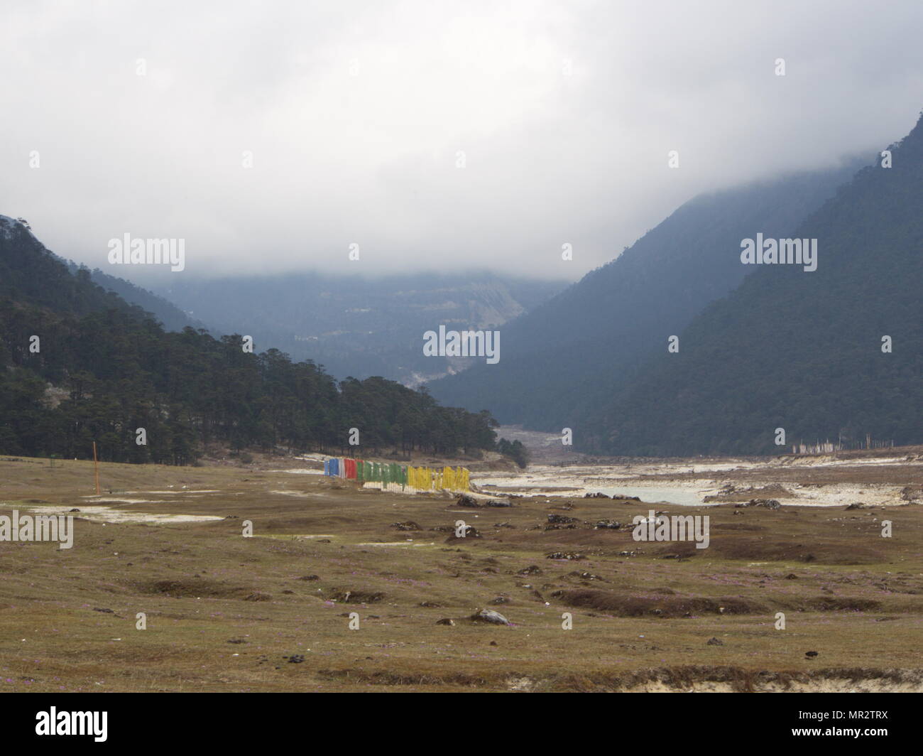 Reise nach Yumthang Tal, Sikkim, Indien, 15. APRIL 2013. Yumthang Tal, Sikkim, atemberaubende Gelände, Rhododendren und Snowline Stockfoto