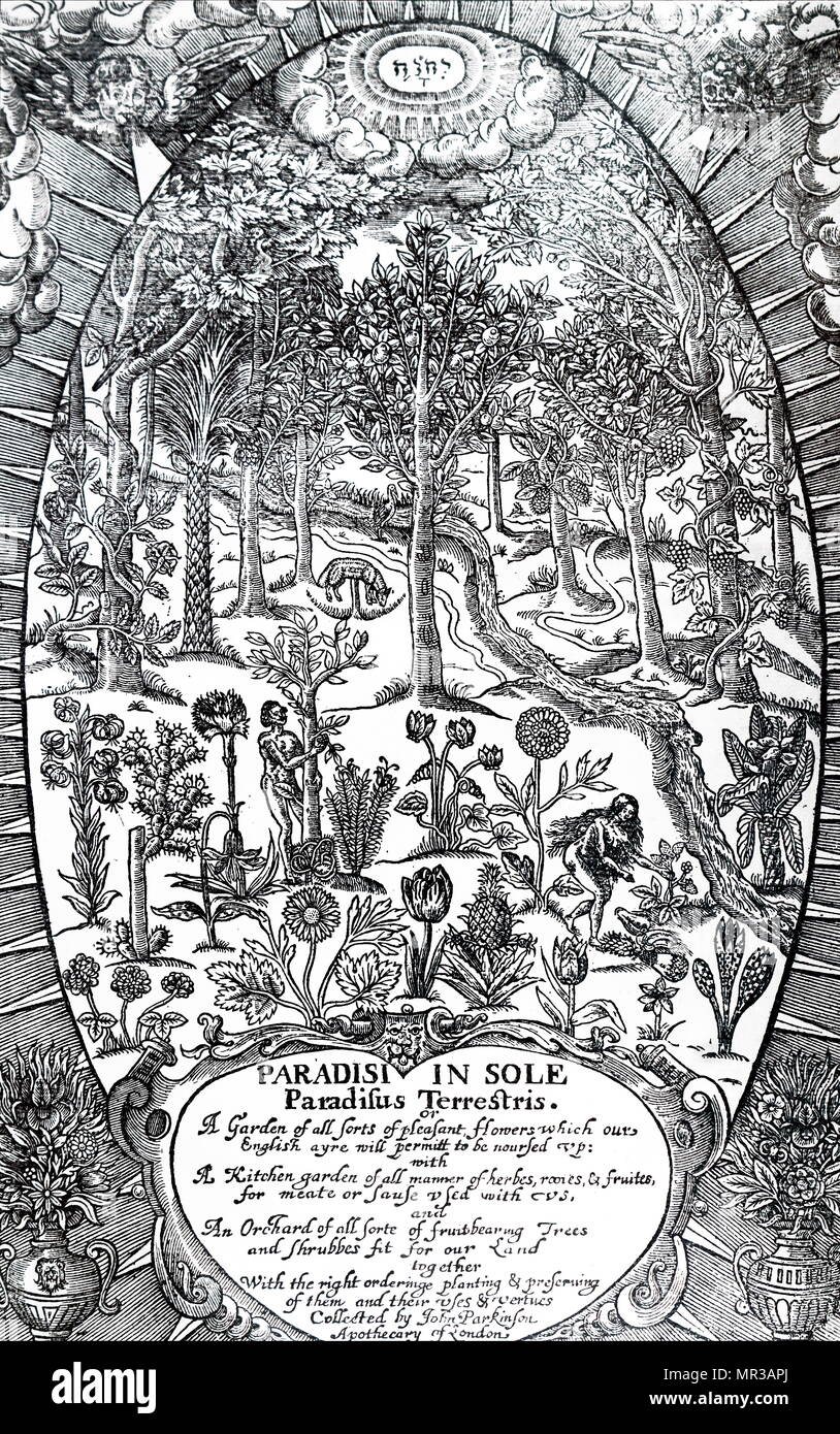 Titelseite von Paradisi in Sole Paradisus Terrestris von John Parkinson. Abgebildet ist, Adam und Eva im Garten Eden sammeln Früchte aus der riesigen Auswahl an Pflanzen zur Verfügung. John Parkinson (1567-1650), englischer Botaniker und Botaniker. 17. jahrhundert Stockfoto
