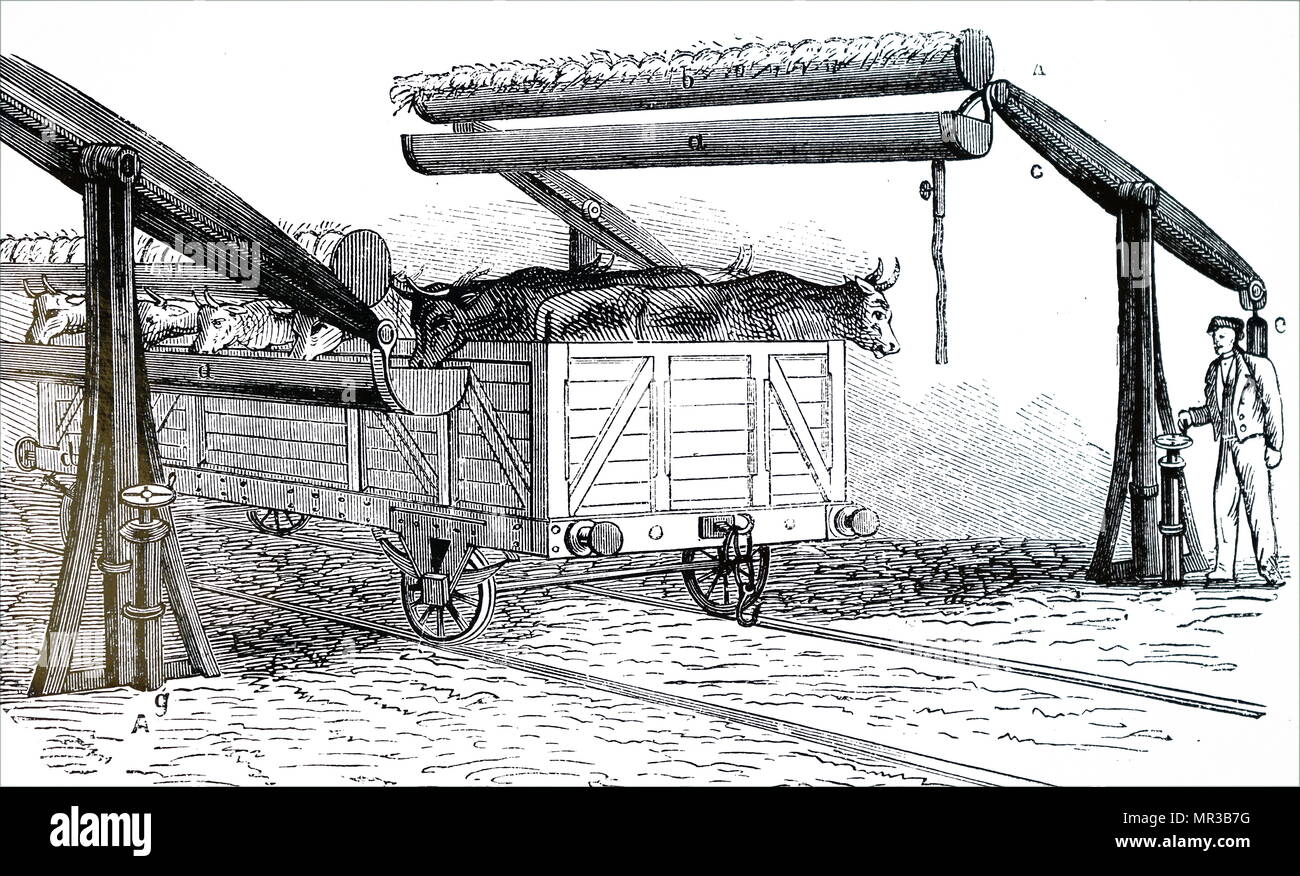 Abbildung: Darstellung einer offenen Viehtransporter zu füttern und Tränken zu stoppen. Dieses System der Lkw wurde in den Vereinigten Staaten für den Transport von Live-Lager über lange Distanzen eingesetzt. Vom 19. Jahrhundert Stockfoto