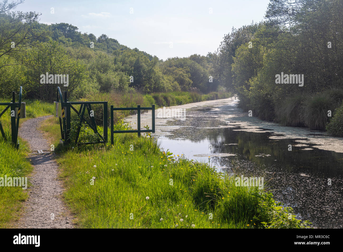 Wales Coastal Path und die Tennant Canal, in Jersey Marine, in der Nähe von Swansea, Glamorgan, Wales, Großbritannien Stockfoto