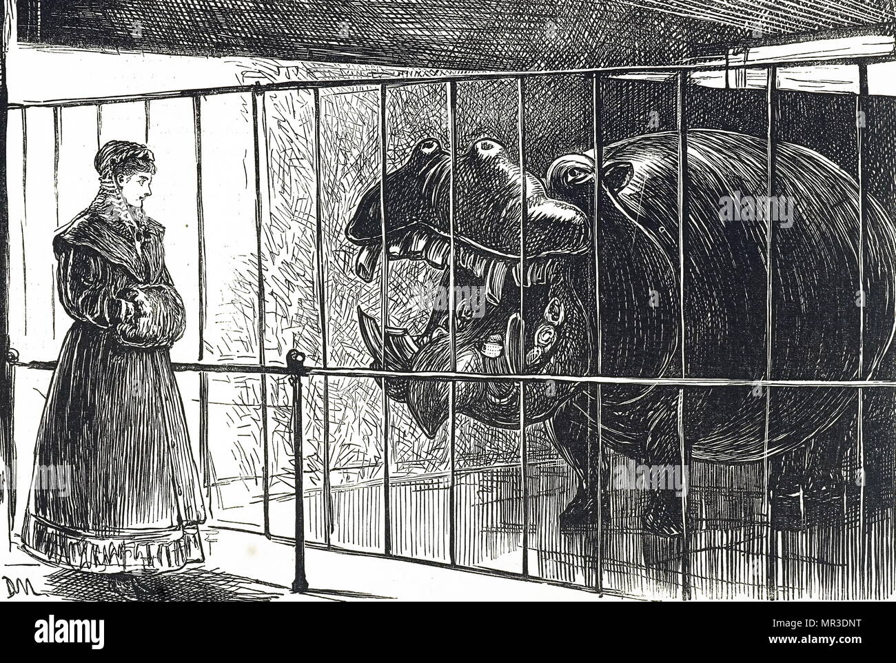 Regents park zoologische gesellschaft garten Fotos und Bildmaterial
