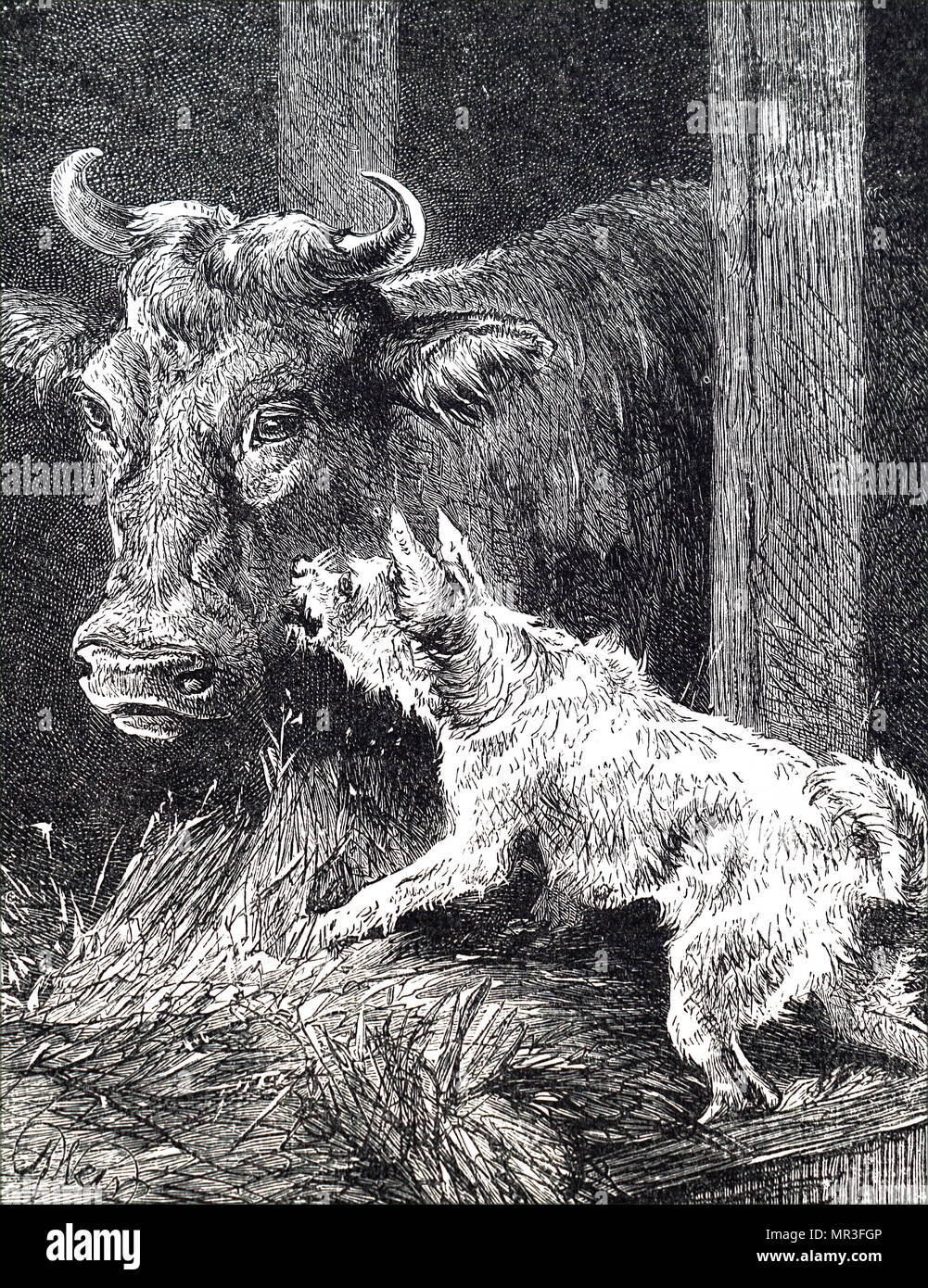Abbildung zeigt ein Hund und eine Kuh halten in einer Krippe im Winter warm. Vom 19. Jahrhundert Stockfoto