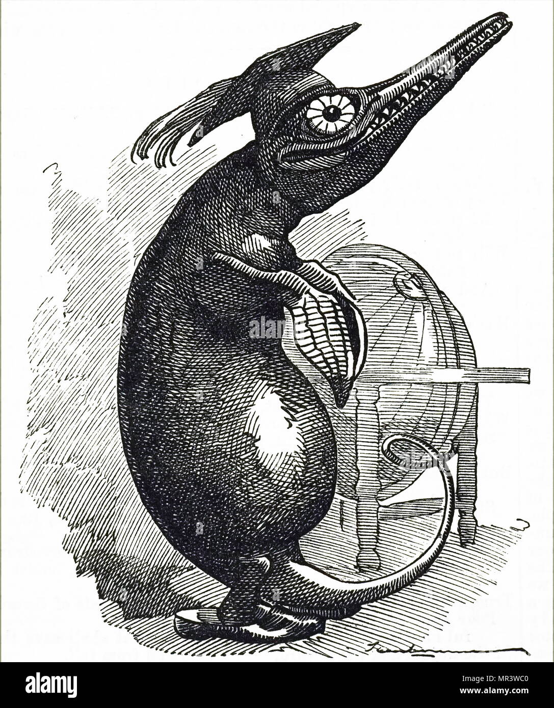 Cartoon mit der Darstellung eines Ichthyosaurus. Ichthyosaurus ist eine Gattung der ichthyosaurs aus der späten Trias und Jura von Europa und Asien. Vom 19. Jahrhundert Stockfoto