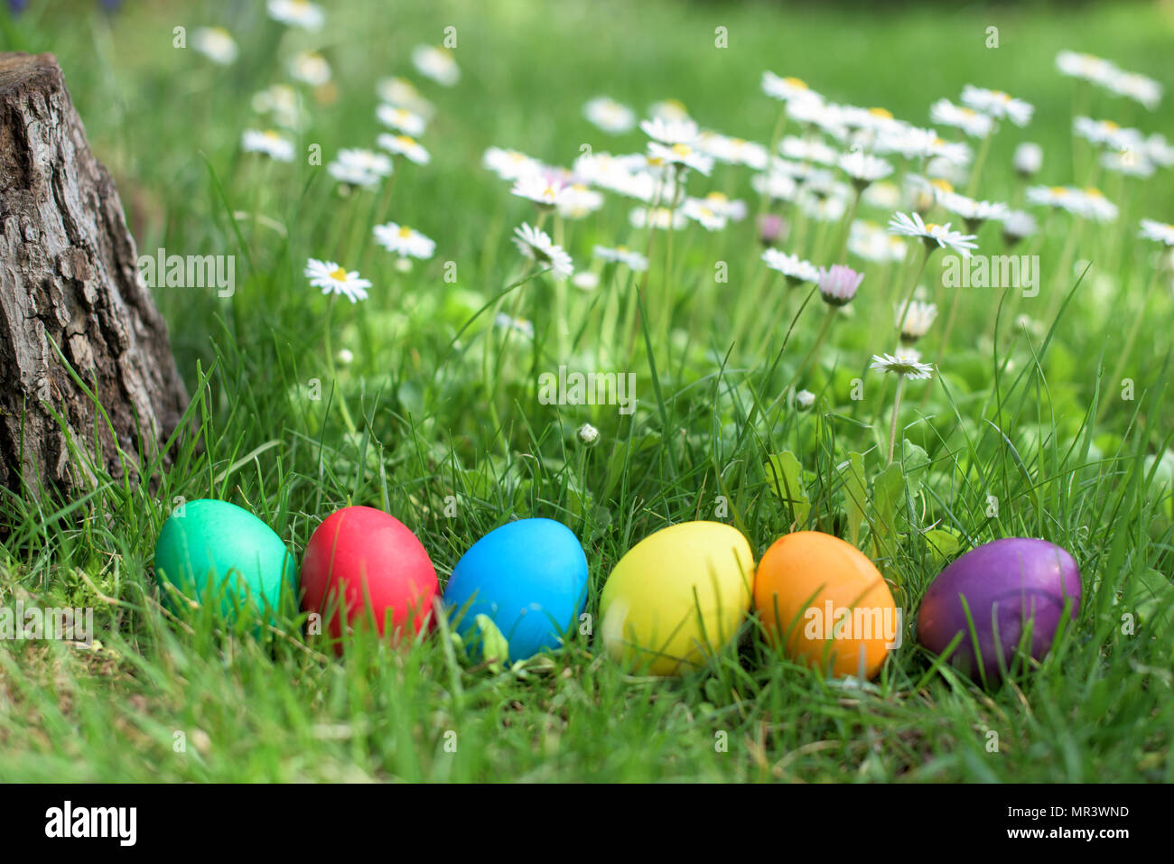 Sechs farbenfrohe Ostern Eier, in einer Reihe Stockfoto