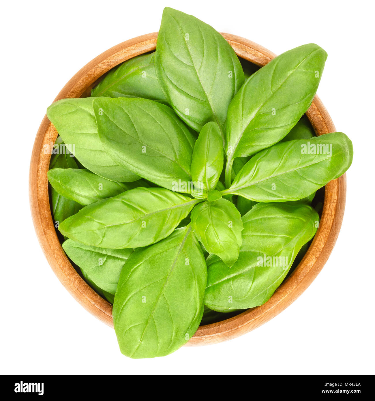 Frische grüne Basilikumblätter in Houten. Auch große Basilikum oder saint-joseph's - Würze. Ocimum basilicum. Küchenkraut. Essbar, roh und organisch. Foto. Stockfoto